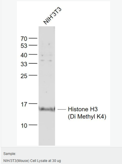 60544d54053d1.png image.png