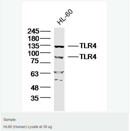 605804541061e.png image.png