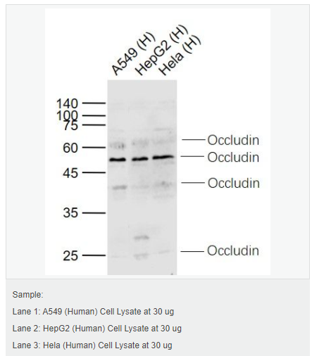 605d763284255.png image.png