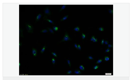 60612cd1bc14c.png image.png
