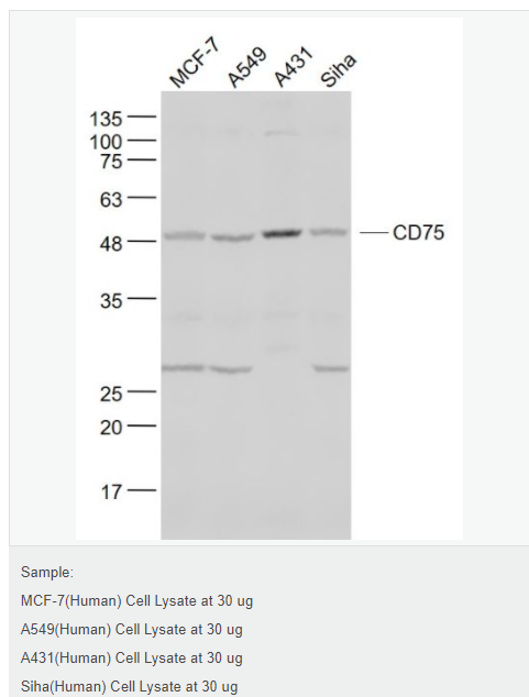 60767a5dee0f3.png image.png