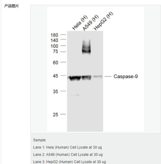 607d3462d07e0.png image.png